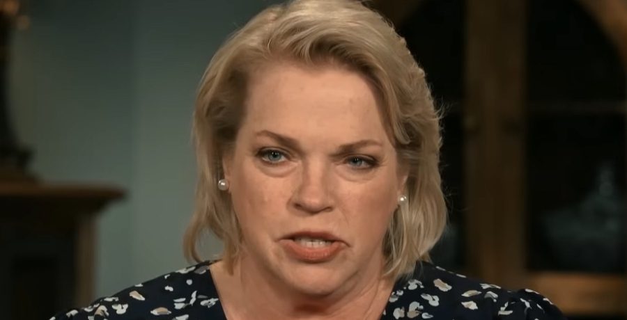 'Sister Wives' Janelle Brown - YouTube