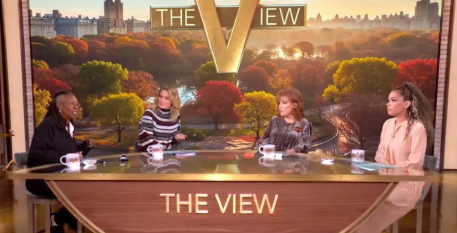 'The View' hosts/Credit: YouTube