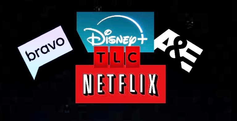 Network logos - Netflix, Bravo, A&E, Disney, TLC