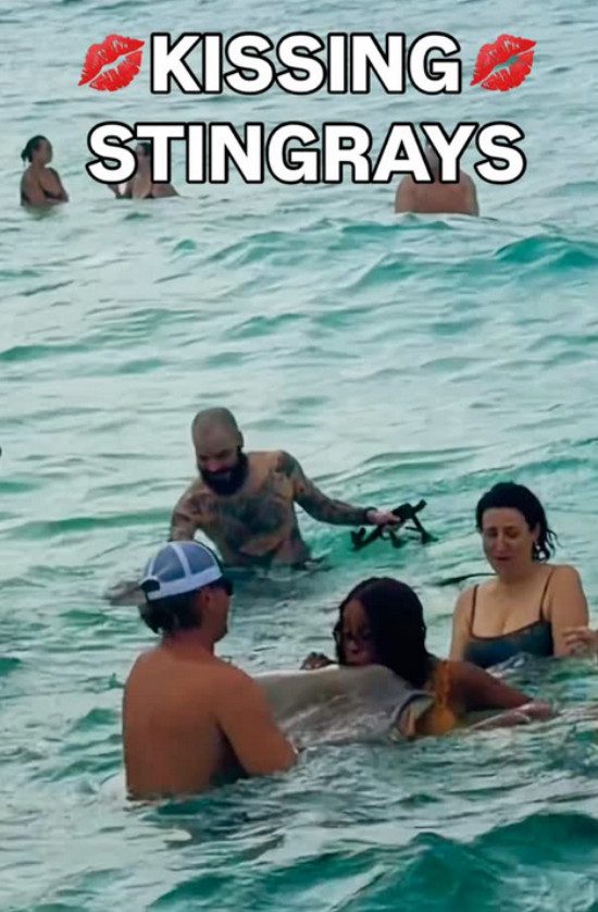 Gayle King kisses a stingray for 'good luck'/Credit: Instagram