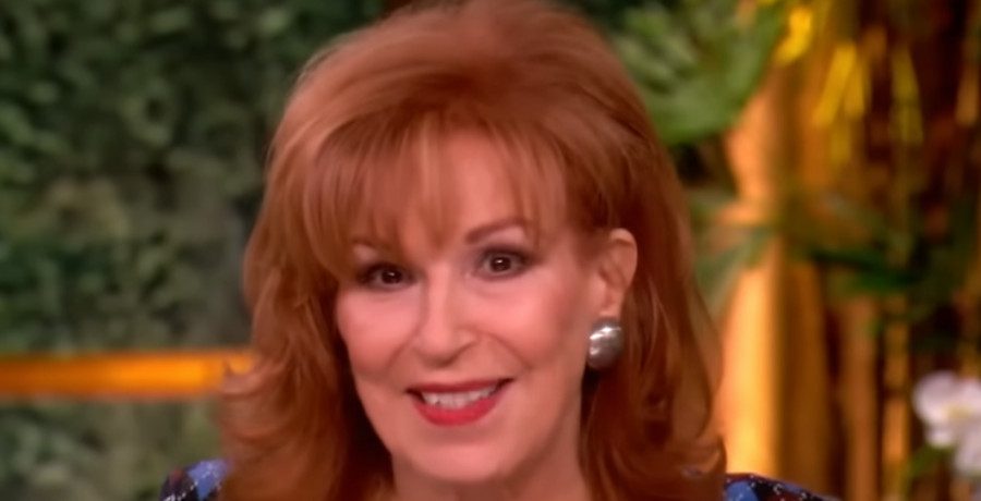 ‘The View’ Guest Reacts To Joy Behar Nicknaming His Private Parts
