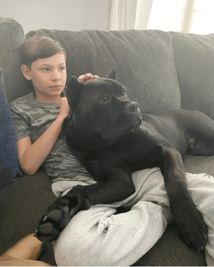 Kailyn Lowry's dog Buddha/Credit: Instagram