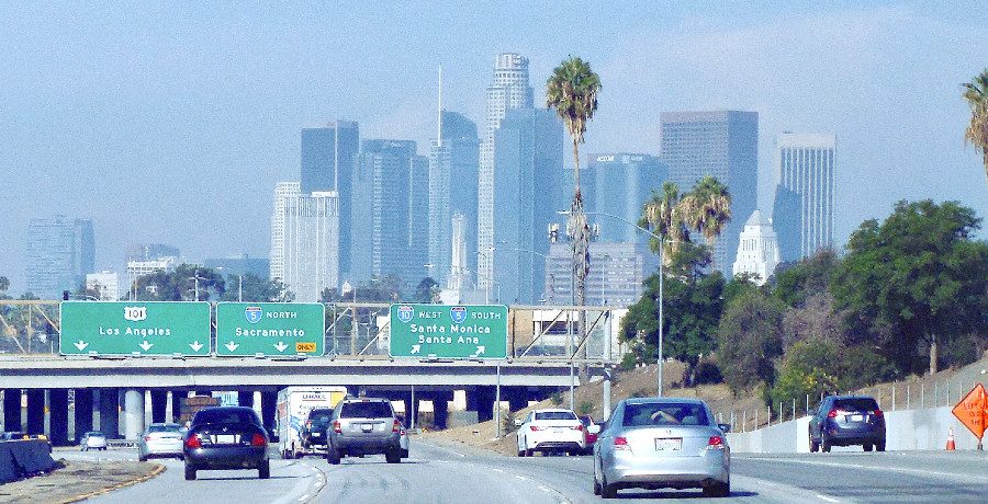 Controversial Reality Star Announces Run For LA Mayor