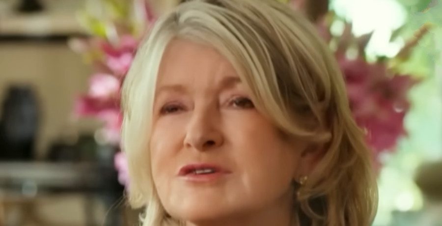 Martha Stewart, 84, Shocks Fans With Bold & Sexy New Makeover