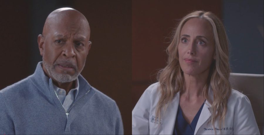 ‘Grey’s Anatomy’ Kim Raver Talks ‘Personal’ Episode For Richard