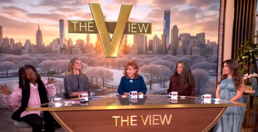 White House Trashes ‘The View’ As They Ask For Trump’s Removal