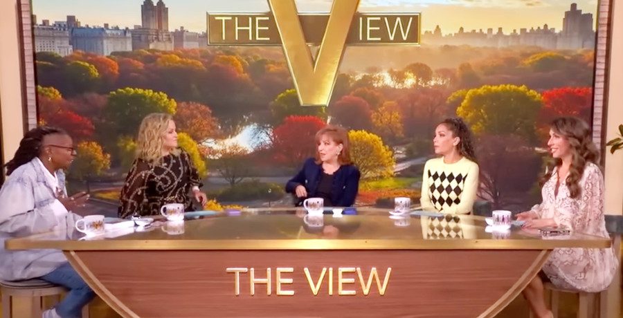 'The View' hosts/Credit: YouTube