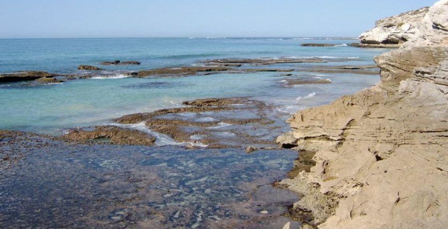 Reality Star’s Body Found Washed Up On Beach Shore