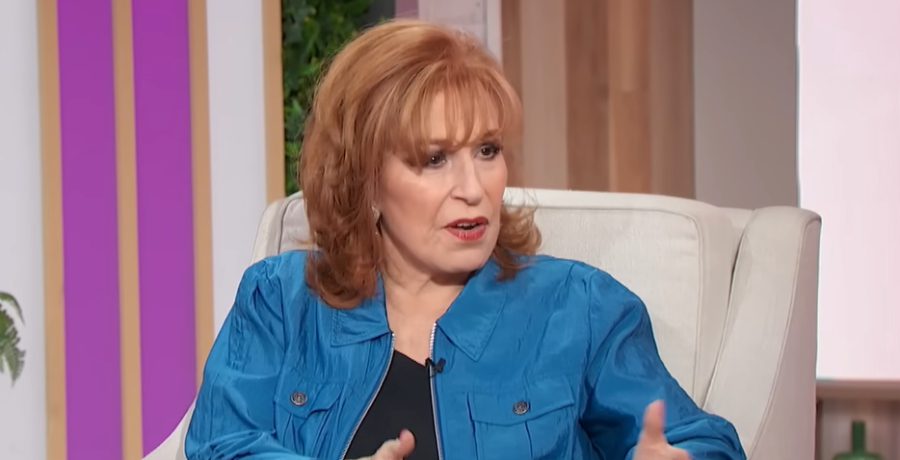 ‘The View’ Joy Behar Questions Co-Host Over Epstein Case Comment