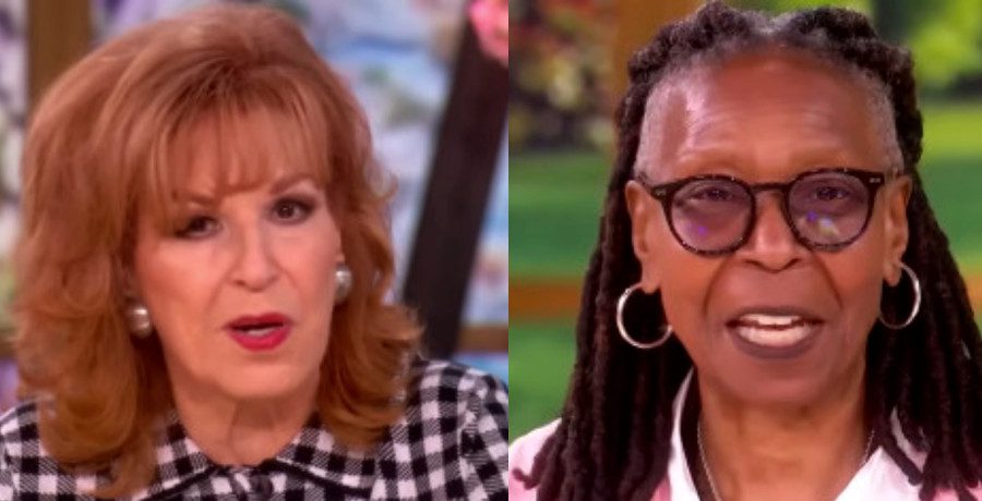 'The View' Joy Behar and Whoopi Goldberg/Credit: YouTube